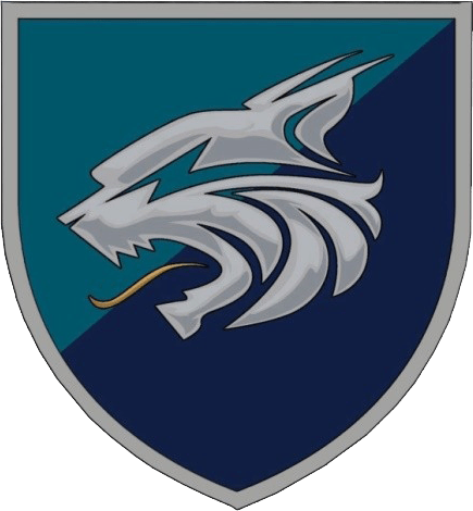 137 окремий батальйон морської піхоти